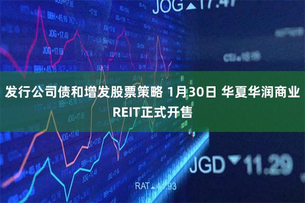 发行公司债和增发股票策略 1月30日 华夏华润商业REIT正式开售