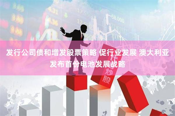 发行公司债和增发股票策略 促行业发展 澳大利亚发布首份电池发展战略