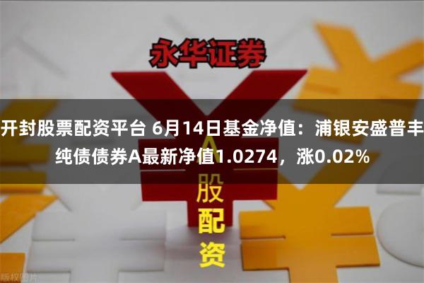 开封股票配资平台 6月14日基金净值：浦银安盛普丰纯债债券A最新净值1.0274，涨0.02%