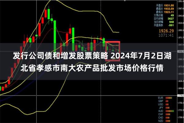 发行公司债和增发股票策略 2024年7月2日湖北省孝感市南大农产品批发市场价格行情