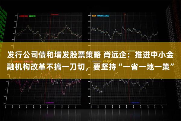 发行公司债和增发股票策略 肖远企：推进中小金融机构改革不搞一刀切，要坚持“一省一地一策”