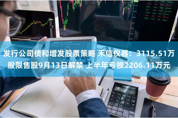 发行公司债和增发股票策略 禾信仪器：3115.51万股限售股9月13日解禁 上半年亏损2206.11万元