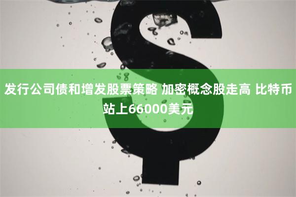 发行公司债和增发股票策略 加密概念股走高 比特币站上66000美元